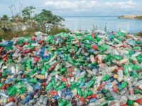 ‘Plastics may outweigh fishes in ocean by 2050’