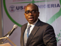 Chief Executive Officer, Nigerian Export Promotion Council (NEPC), Olusegun Awolowo.